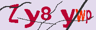Code captcha
